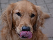 "I can almost taste it"