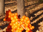 Balloons in the park