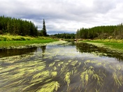 Paddling to Bonaventure Lake, Atikaki Provincial Wilderness Park