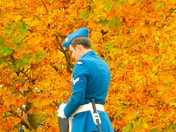 Remembrance Day Celebration