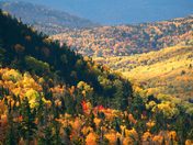 New Brunswick Colors!