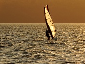 Glorious golden ride