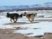 Aspy Bay, Cape Breton Highlands