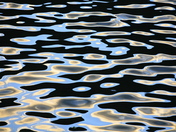 Water Reflections