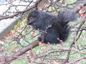 What rain? I'm hungry !