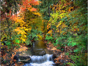 Autumn stream