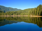 Splendid Refelections