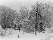 winter - 1st Snowfall