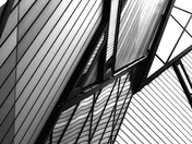 The Royal Ontario Museum