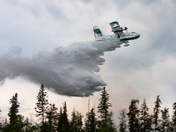Water Bomber