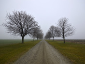 Foggy Ontario Sunday