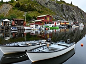 Quidi Vidi Newfoundland