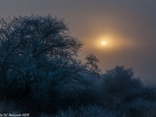 Frosty Fogging Morning 