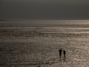 A Walk at Low Tide