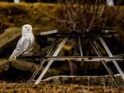 waiting for my lunch date