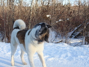 Shake off the winter time blues