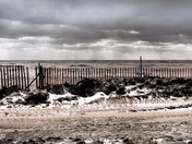 Cold Day at the Beach in Port Stanley