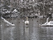 Just doing my own thing