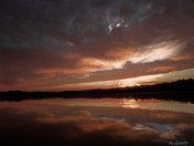 Thinking About Summer