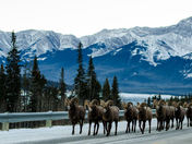 Journey Through The Mountains