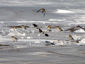 Where is the runway?