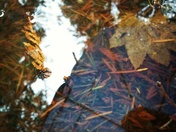 A rainy day is still beautiful