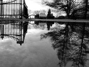 surnatural reflection