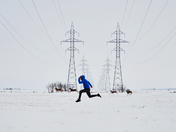 Running with the herd