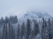 Early Morning Mountain View