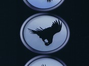 Raven With Golf Ball