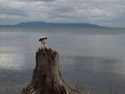 Abandoned Lighthouse