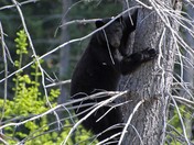 here's looking at you.....