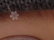 The Perfect Saskatchewan Snowflake