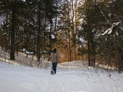 Just a Walk in the Woods