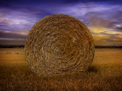 Golden straw bale with a bursting sunset