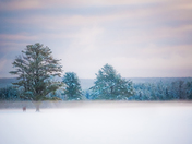 McGarry Flats, Hastings Highlands