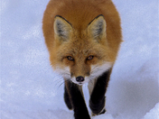 Here's Looking at You!