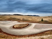 Natures colourful contrasts