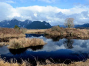 Pitt Lake Marsh