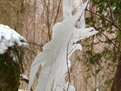 The Bruce County Ice Creature