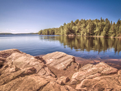 South Algonquin View