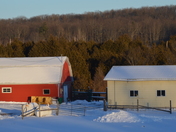 Sunset On The barns