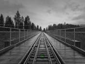 Trout Creek Rainy Trestle