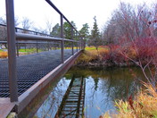 Bridge Reflection