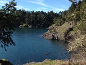 Sooke National Park