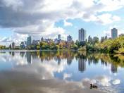 Stanley Park Serenity