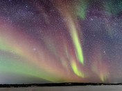 Starry Aurora