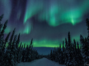 A road less traveled...