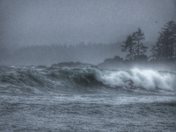 Winter Surfers at Botany Bay