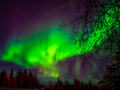 Winter Aurora